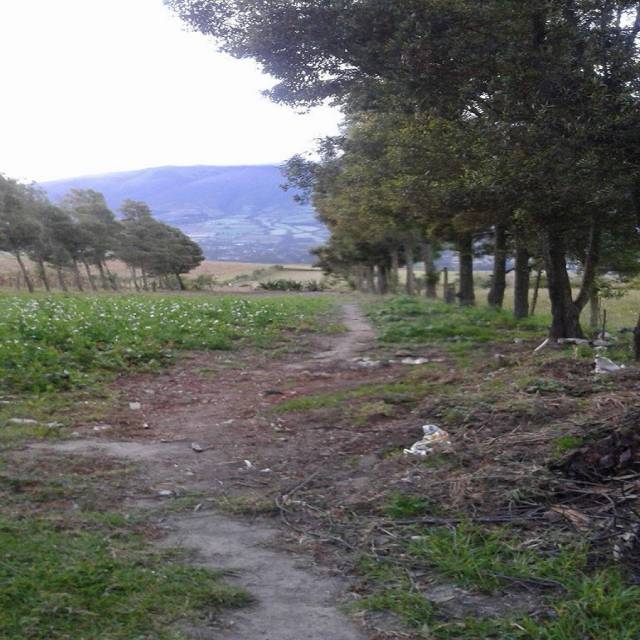 VENDO BONITA CASA DE CAMPO CERCA A OTAVALO