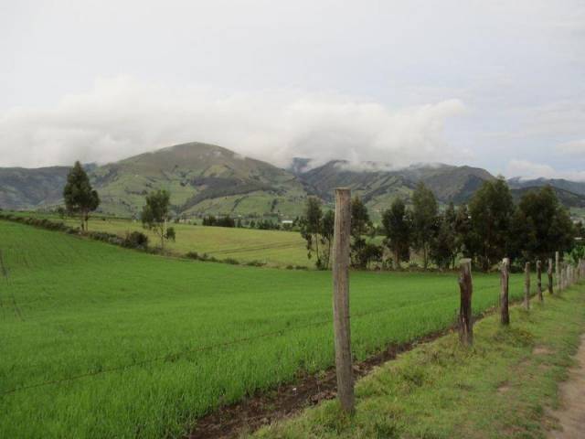 HERMOSO TERRENO DE 5,4 HAS. A 30 MINUTOS DE CAYAMBE