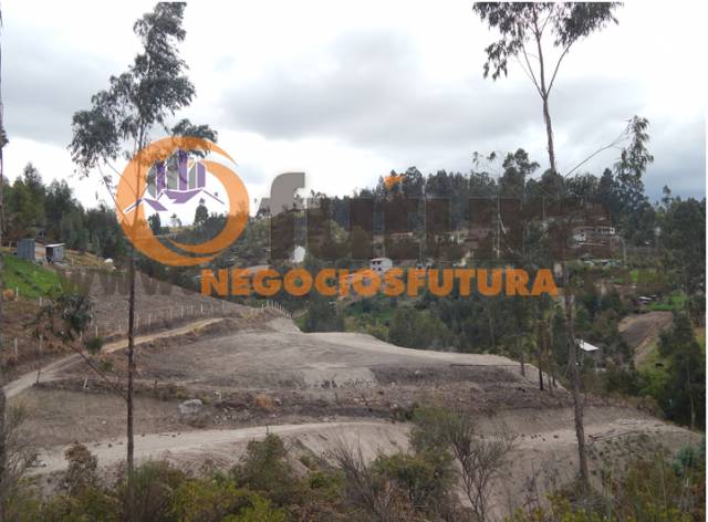 TERRENO EXTENSO POR RICAURTE $ 108.000