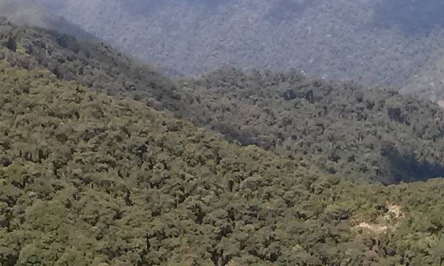 Vendo 198 hectáreas de bosque nublado cerca a Quito