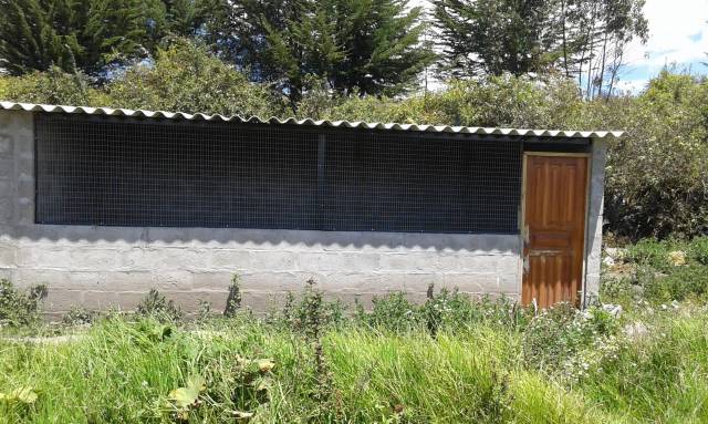 Se vende seis hectáreas de terreno en la parroquia Los Andes perteneciente al Cantón Bolívar Provincia del Carchi con agua de riego permanente apto para la agricultura y una vivienda con dos galpones