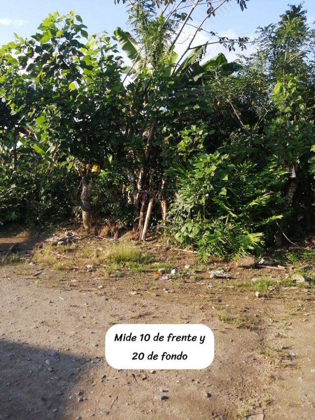 Terreno en la parroquia Chura del cantón Quinindé